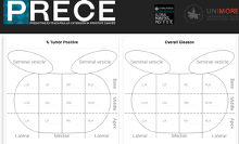 Interfaccia grafica del PRECE disponibile online al sito prece.it